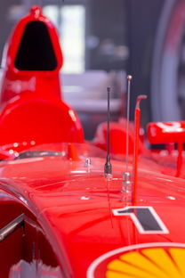 米兰体育app官网-全国青少年旱地冰球锦标赛在哈尔滨精彩展开，旱地冰球比赛时间