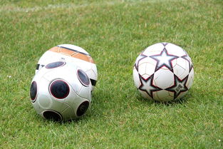 米兰体育赛事-未来足球市场：数字资产与足球产业的融合，足球概念数字货币