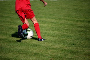 米兰体育在线登录-冬奥场馆智能系统协助运动员热身训练，冬奥会设备